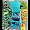 Turquoise Blue-Gold Expanding 7"X4" Clutch Cross Body Shoulder Bag $79.99