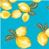 Kastel Denmark UPF30+ Lemon Azure Long Sleeve Mock $99