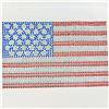 American Crystal Flag Ultra-Light Cropped Sweatshirt - 2 Colors $129.99